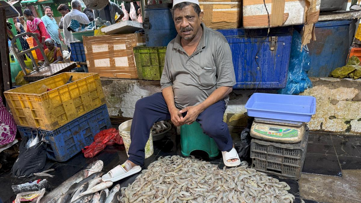 Andhra Pradesh shrimp farmers gear up for Statewide stir over steep U.S. tariffs