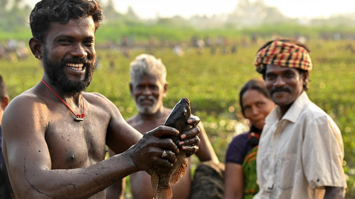Thousands gather near Azhagar hills to celebrate Meen Pidi Thiruvizha