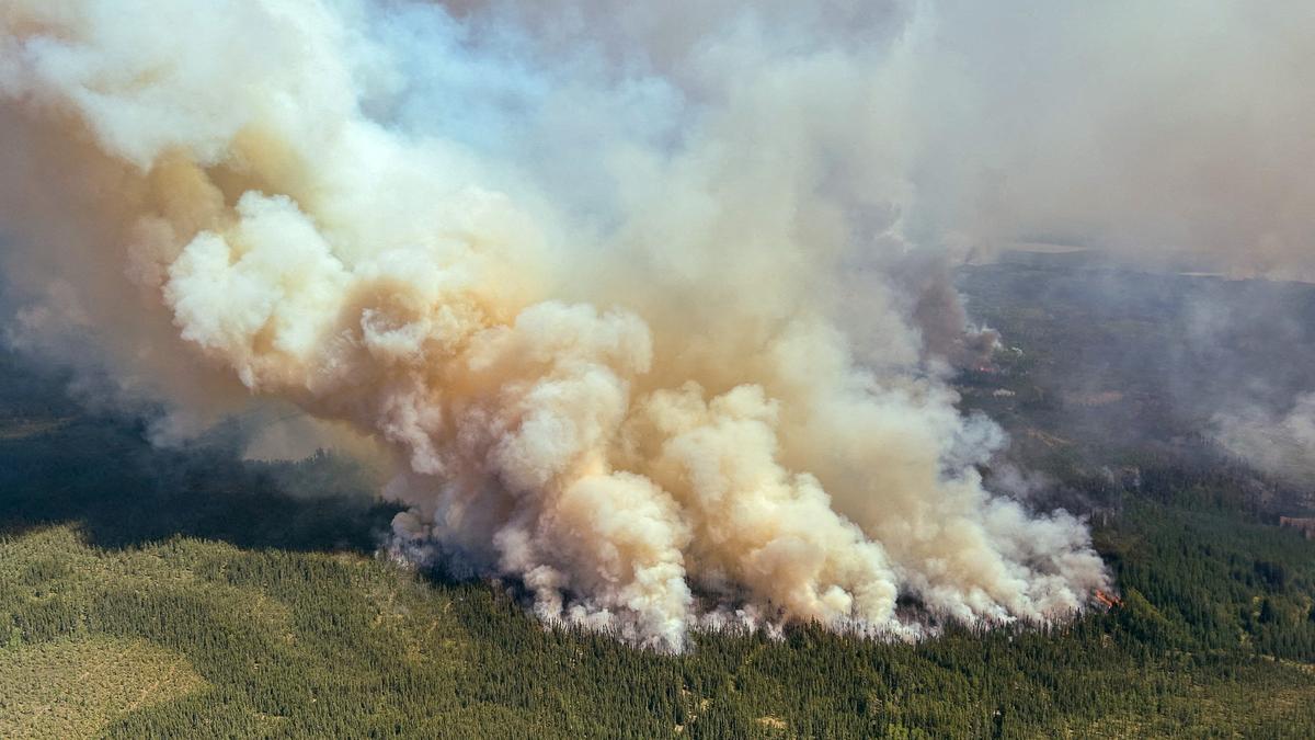 Wildfire smoke exposure may shorten lung cancer survival