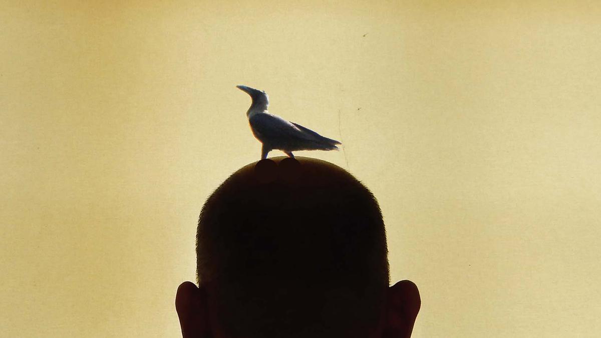 Renowned artist Giridhar Khasnis ventures into Kannada literature with debut collection ‘Ellindalo Haari Bandu’
Premium