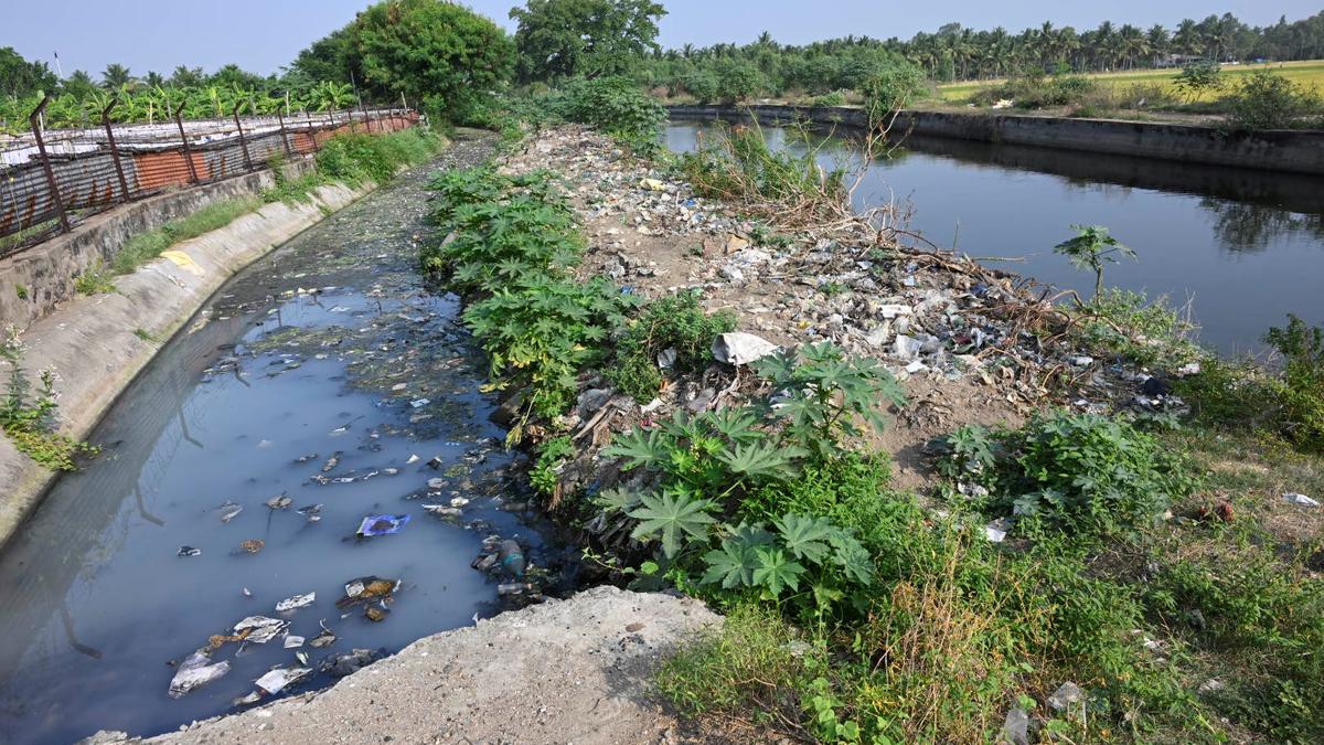 Development works to be carried out in Erode’s Kalingarayan canal and baby channels at ₹83 crore