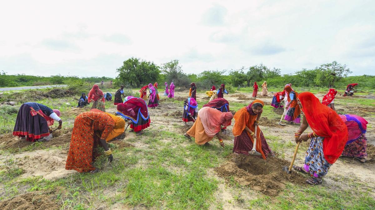 West Bengal government and Centre are not keen for resumption of MGNREGA, despite Calcuttal HC order