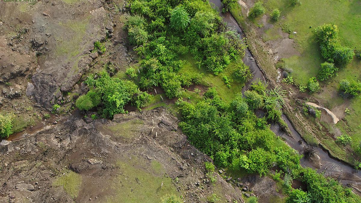 Hope for Hessarghatta as project in Pune showing that grasslands not wastelands