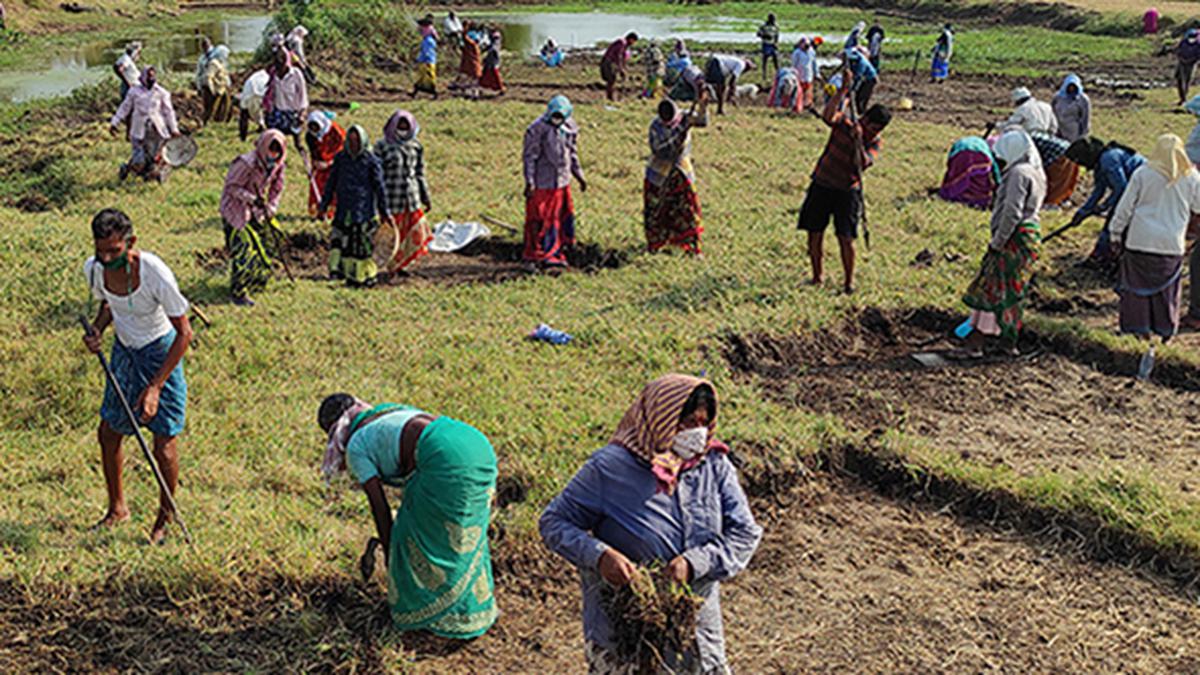 MGNREGA needs at least ₹2.72 lakh crore for providing 100 days of work, say activists