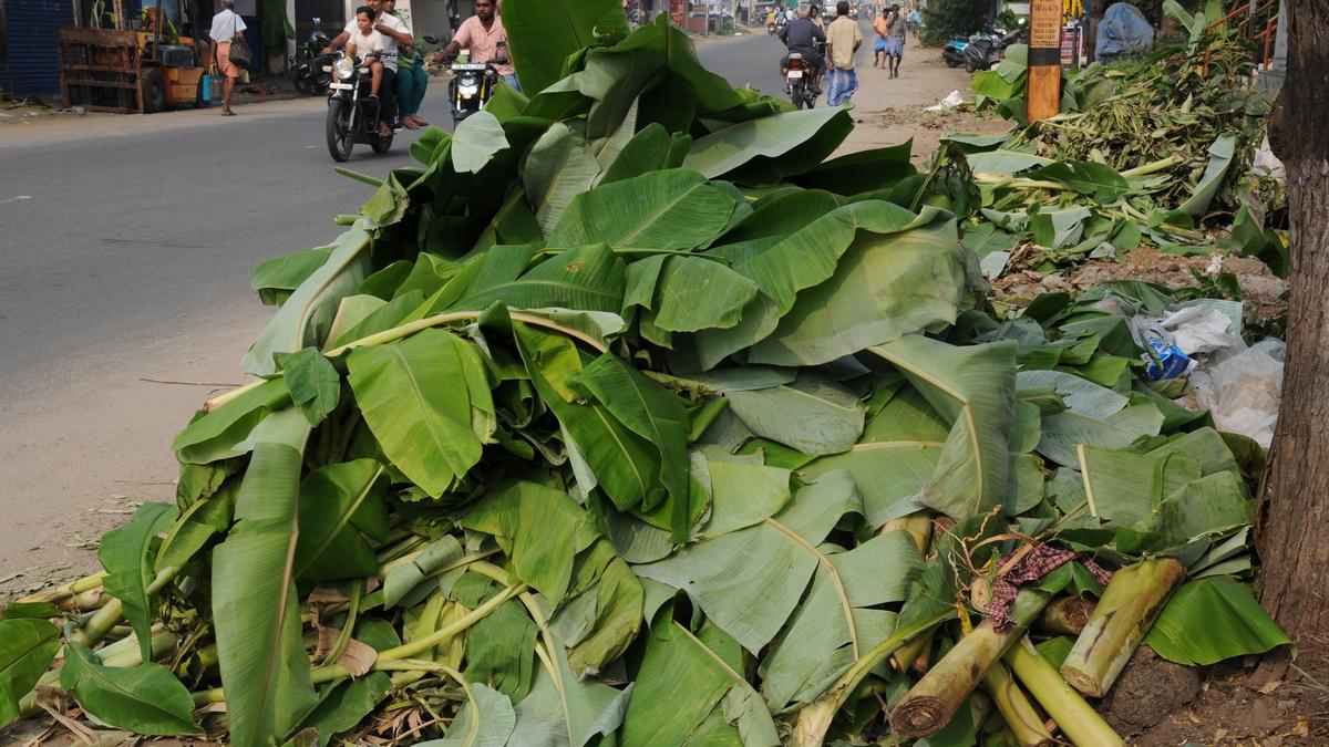 Garbage piles up in Erode after puja celebrations