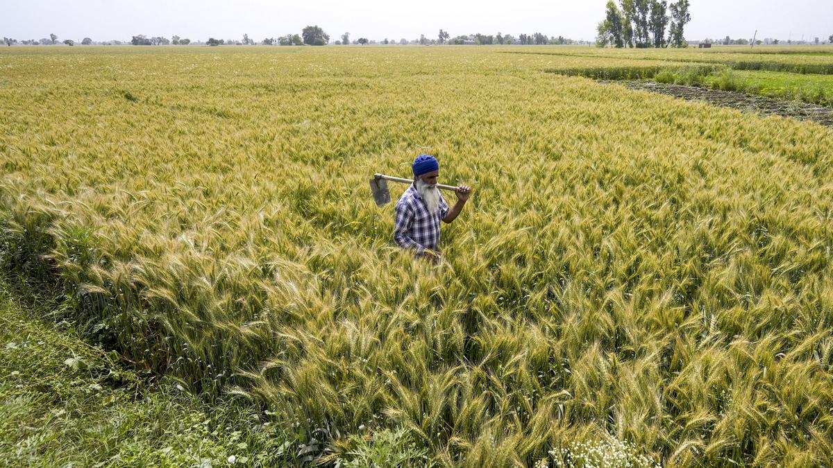 Farmers, policymakers warn Centre against proposed amendments to Plant Treaty