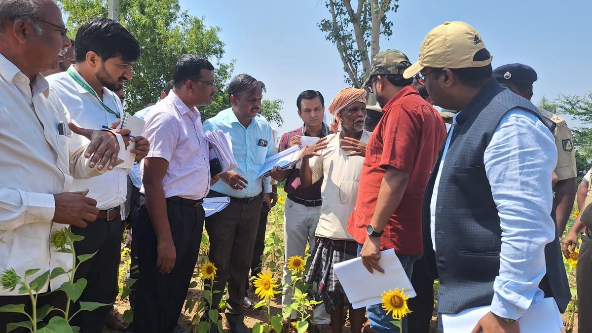 Central team visits Belagavi and Vijayapura villages