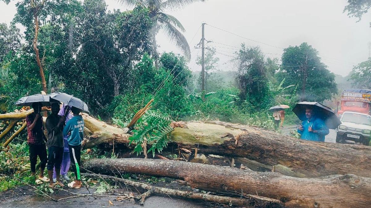 Karnataka rains: Ban on heavy vehicles in Kodagu till August 25