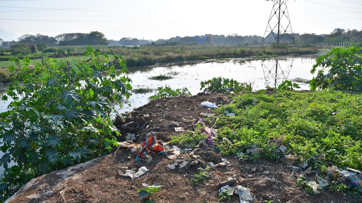 Coimbatore Corporation to call in private players for security at seven lakes; pre-bid meet for maintenance work on Feb. 17