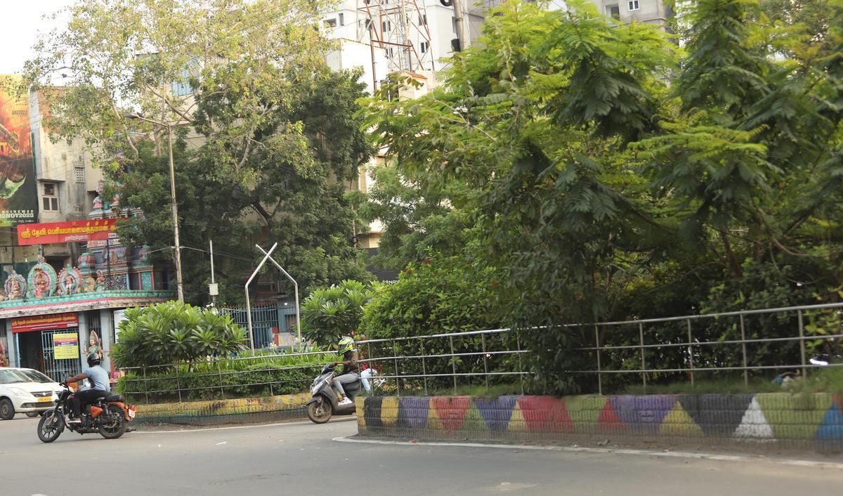 The dense vegetation on the median of First Main Road in East Anna Nagar 