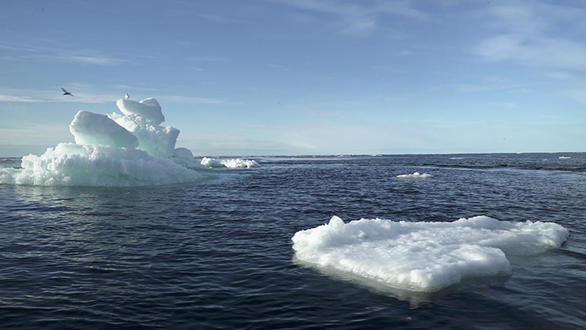 Levels of far-flung Arctic sea ice can change monsoon patterns: study
Premium