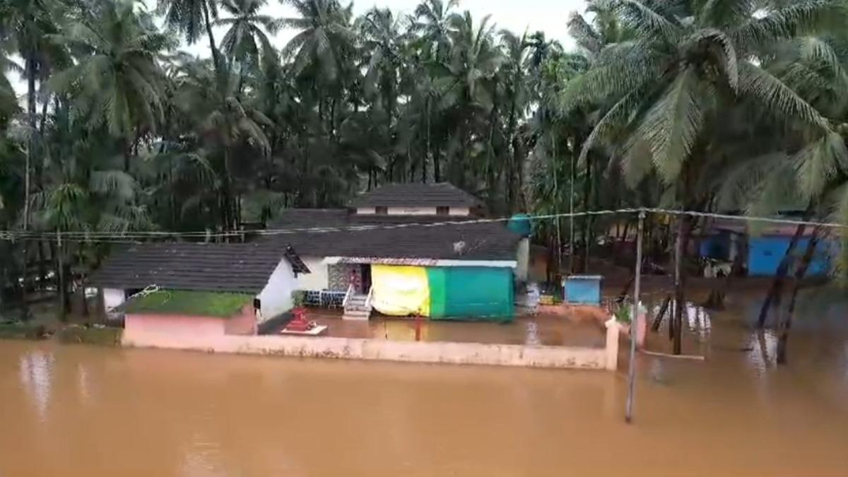 Rains and flood cause extensive crop damage in Udupi district