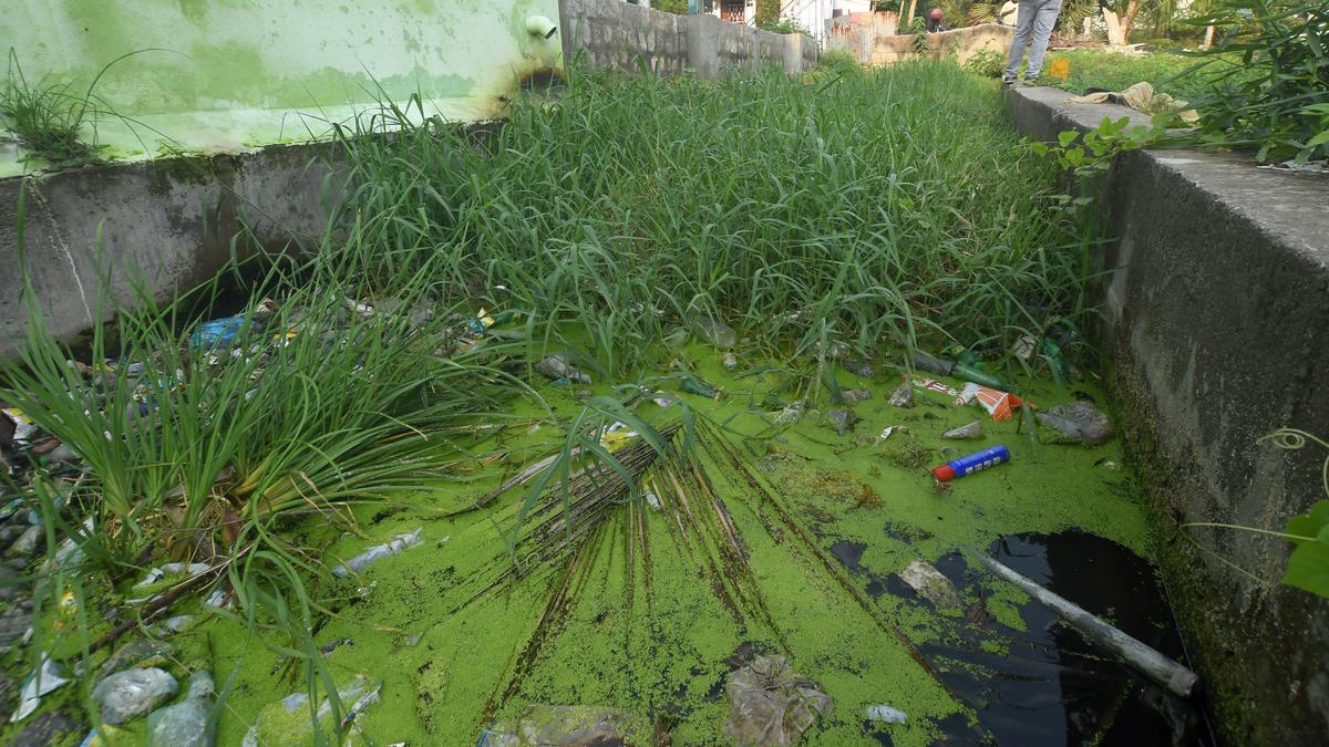 Restoration of Madukulam-Kiruthumal river link channel to begin soon