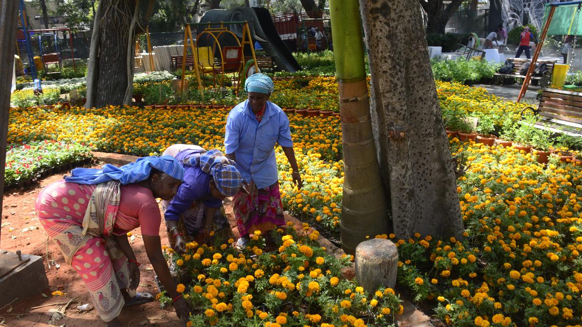 Walkers disappointed as Semmozhi Poonga closed for maintenance work