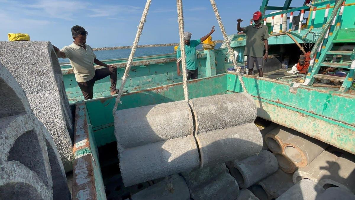 Artificial reefs to be installed in Rameswaram sea to preserve rare marine species
