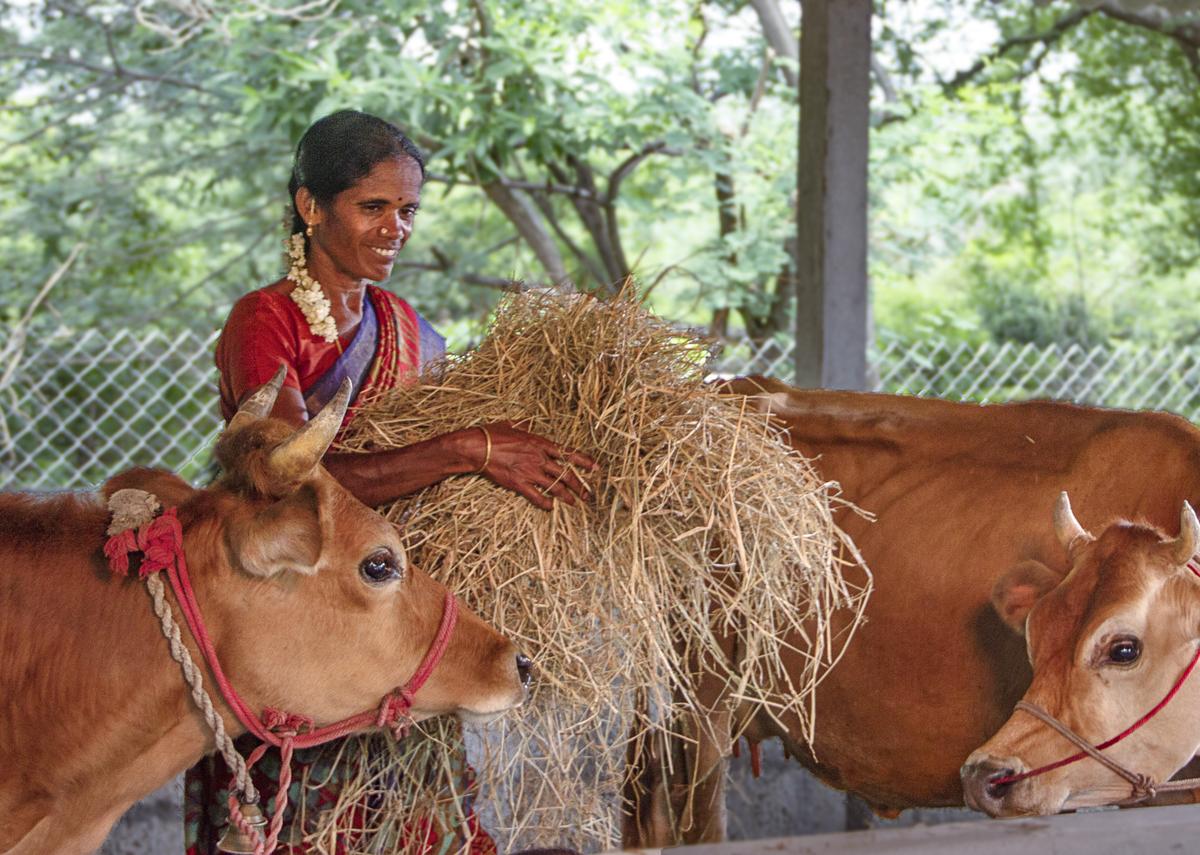 J Kalavathi at her farm J Kalavathi at her farm