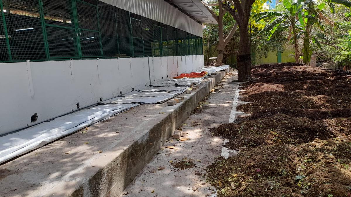 A sustainability classroom at a Chennai college