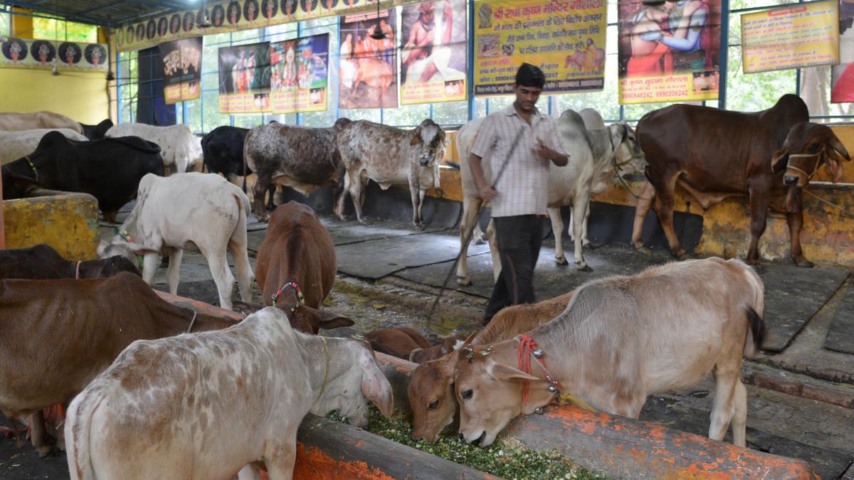 Two FIRs registered after clash between groups over bovine 'smuggling' in Jammu
