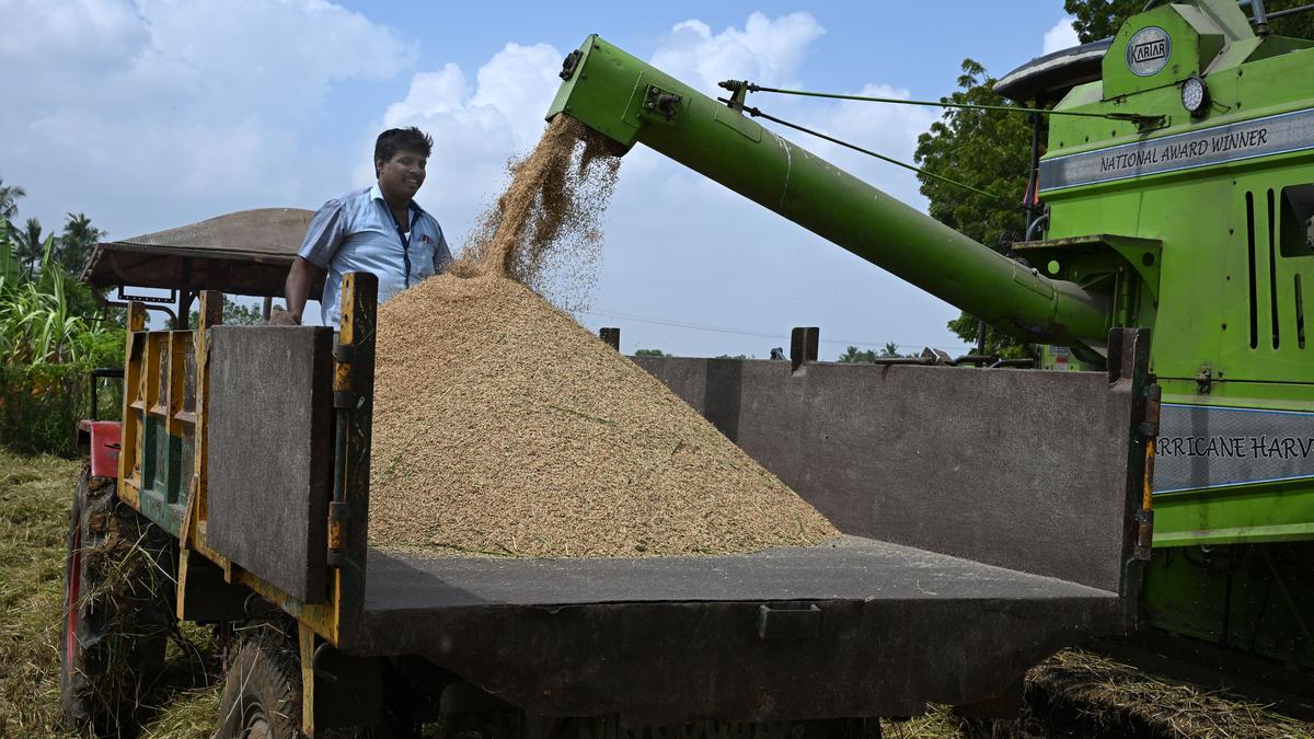 Nearly eight lakh tonnes of paddy procured from farmers