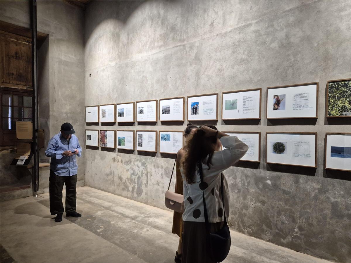 The show Amphibian Aesthetics 