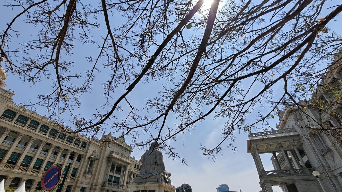 India’s annual maximum temperatures increased across most States from 0.1°C to 0.5°C during last decade: Report