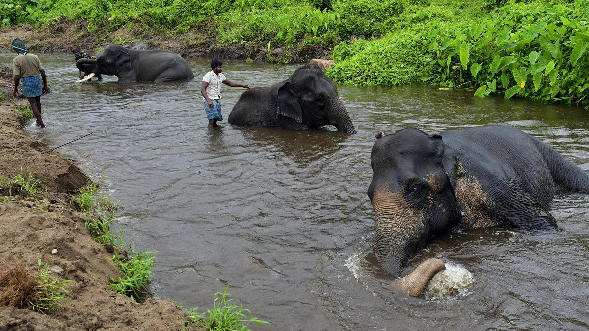 A photography contest celebrates wildlife, portraits and monuments