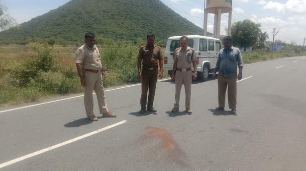 Man killed as wild boar hits scooter near Coimbatore