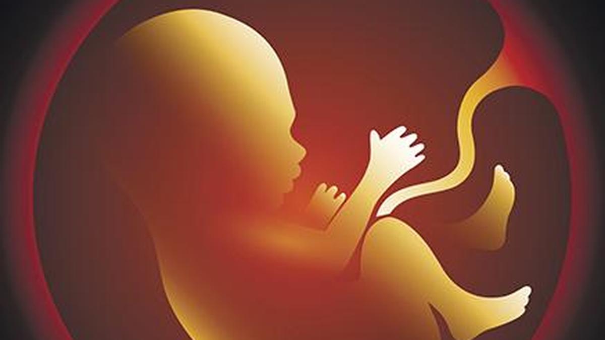 AIIMS Delhi researchers show exactly how particulate matter affects foetuses