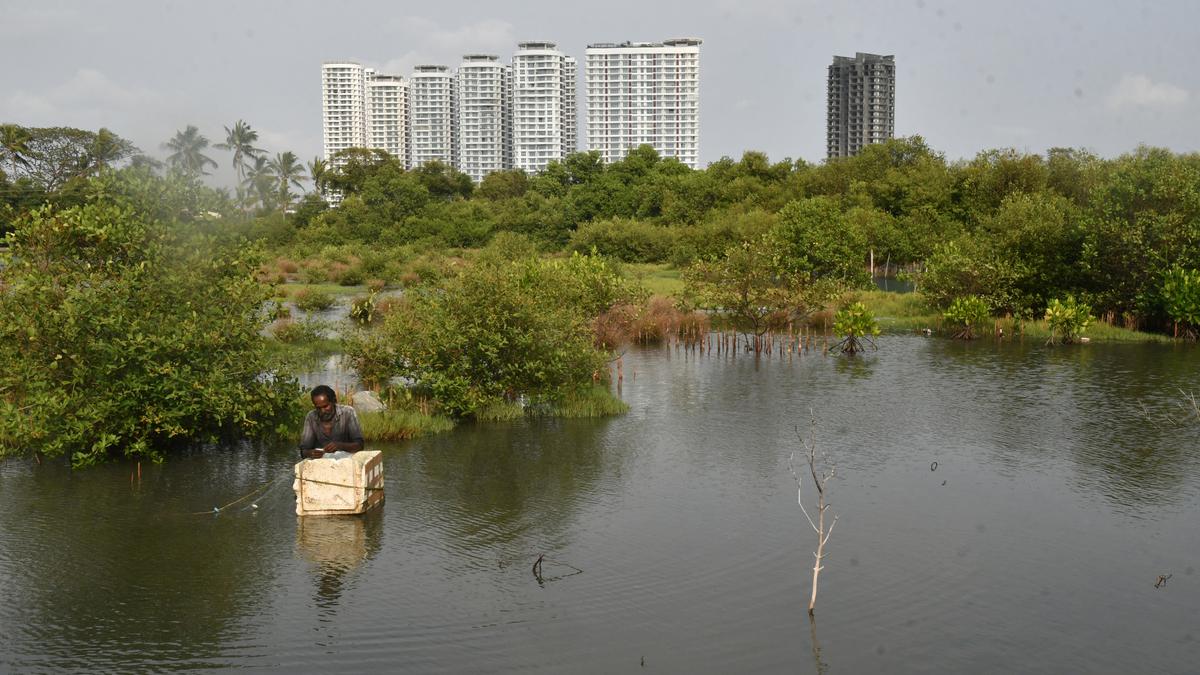 Thanthonnithuruthu likely to be retained as ecotourism zone in final version of Kochi master plan