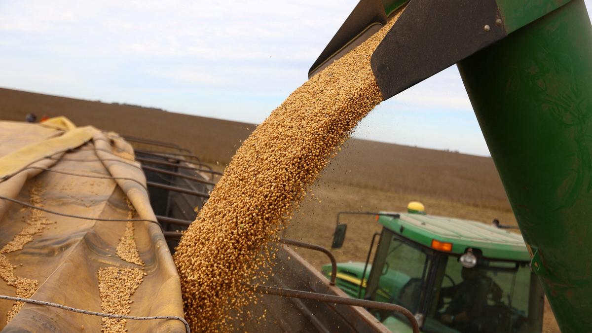 Funds trim bearish CBOT soybean bets awaiting Brazil rains