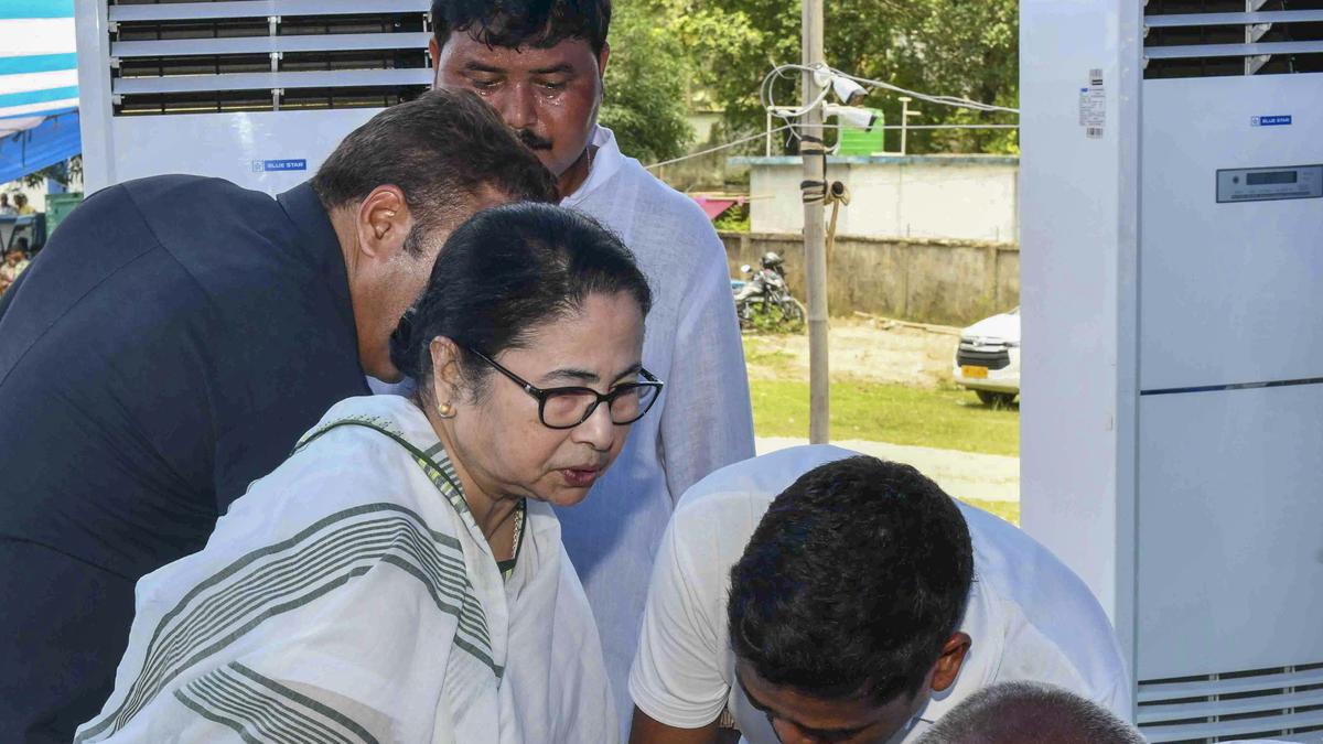 Mamata injured as chopper makes emergency landing due to bad weather: official