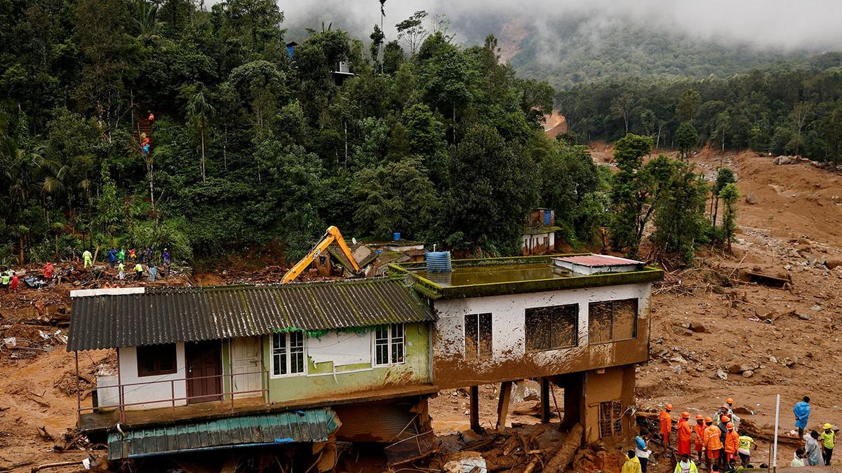 Expert panel on Wayanad landslides recommends keeping ‘unsafe’ areas habitat-free