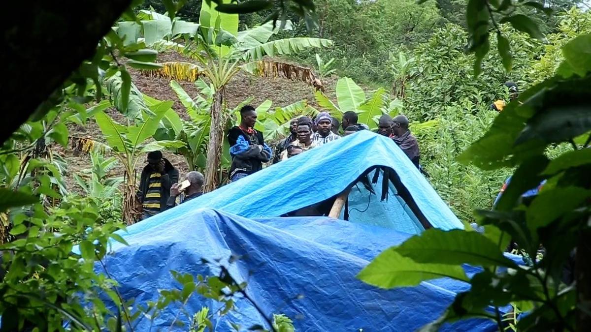 Landslips triggered by heavy rainfall kill at least 20 people in Tanzania
