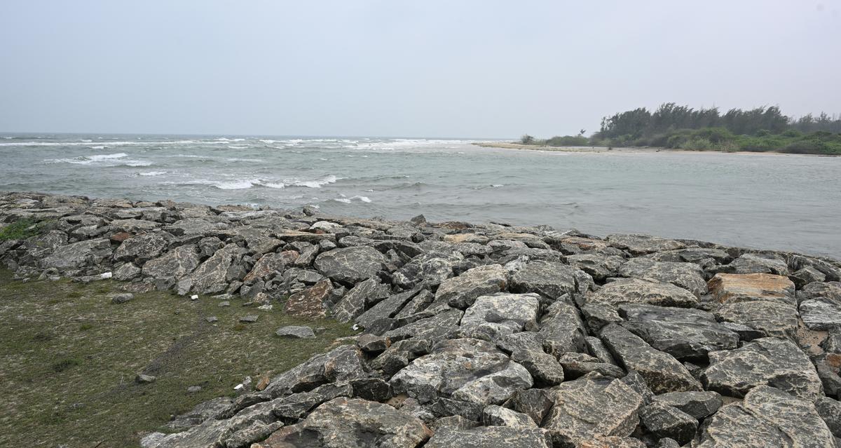 By the time the Vaigai reaches Attrankarai  in Ramanathapuram district, it also beings sewage, waste and pollutants from shrimp farms. 