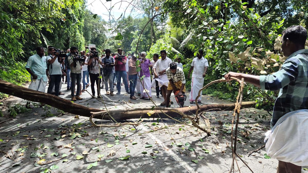 Action council axes trees in protest along National Highway in Idukki