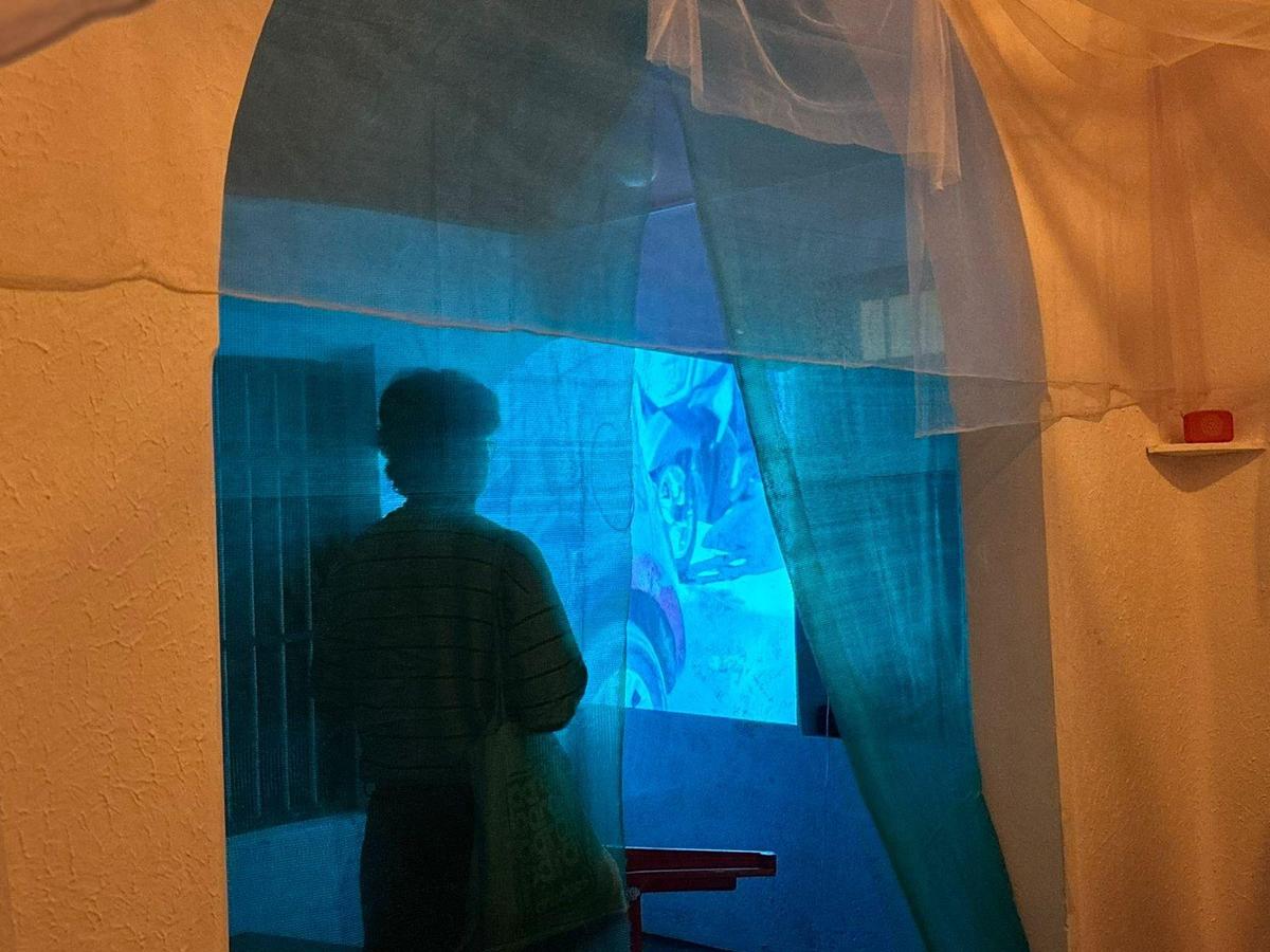 Cenas da exposição The Seed Sprouts Dreams Cenas da exposição The Seed Sprouts Dreams