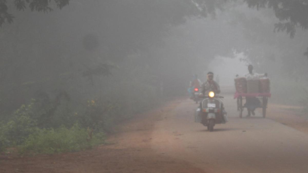 Mercury drops below 10°C  in two Telangana districts