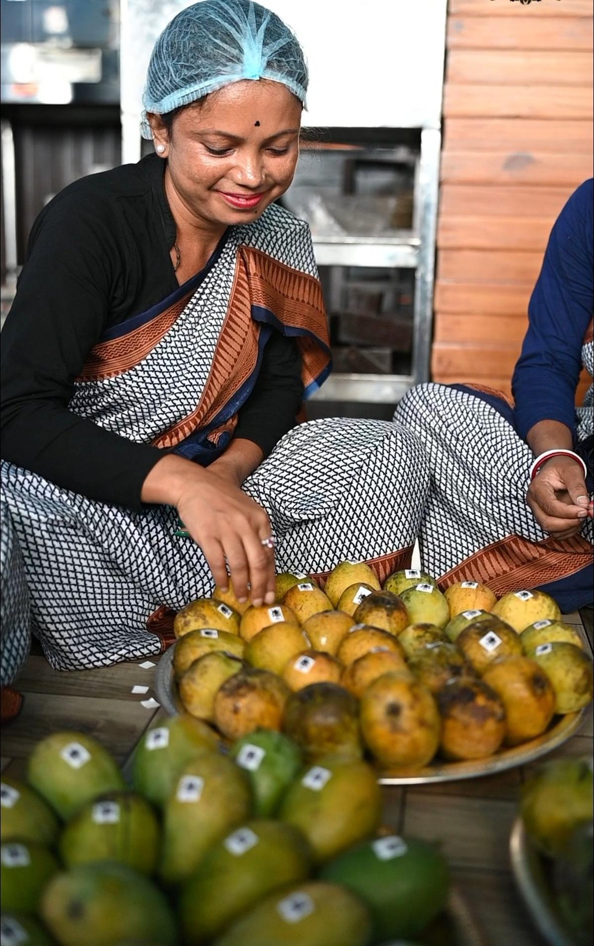An assortment of commercial as well as rare mangoes on display at the Murshidabad mango festival
