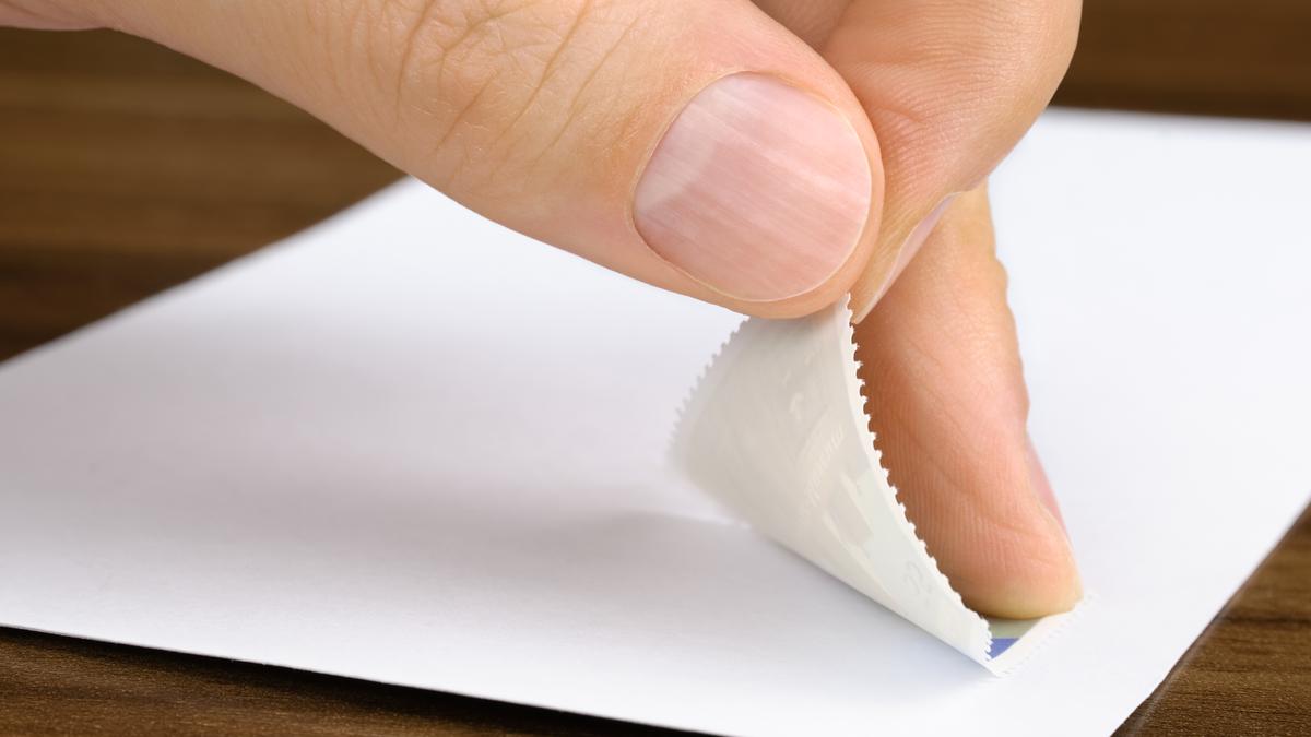 How does glue work: the physics of what makes glue so sticky
Premium