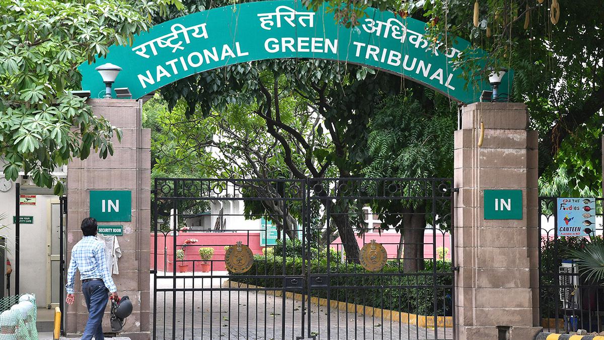 Delhi govt. moves SC against NGT order forming L-G-led solid waste management panel