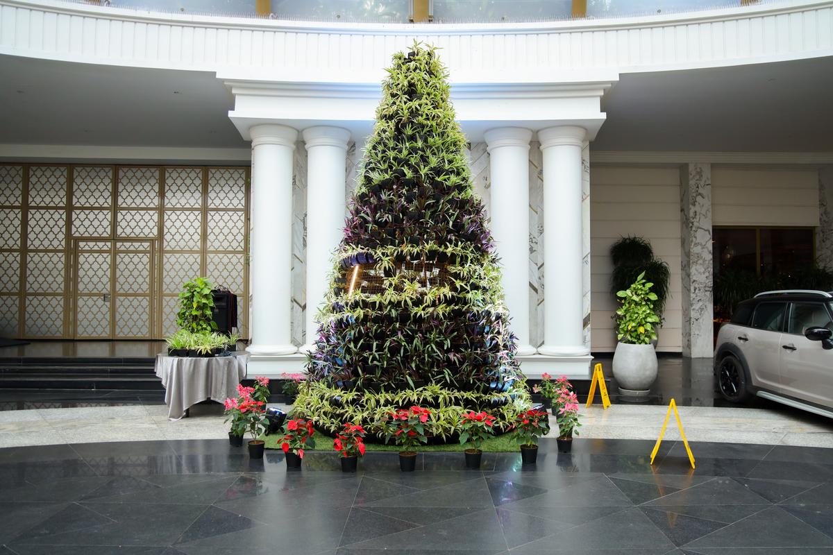 Christmas tree at Radisson Blu Hotel & Suites GRT Chennai