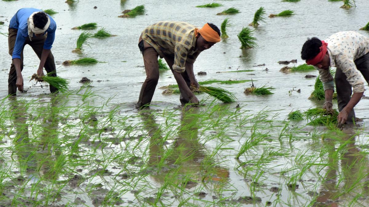 Telangana farmers received ₹27,489 cr under PM-Kisan so far since its launch