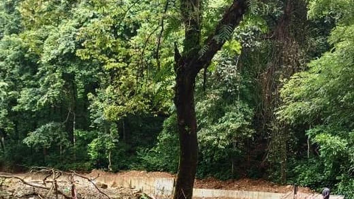 Neriamangalam-Valara stretch is on revenue land, says govt. affidavit