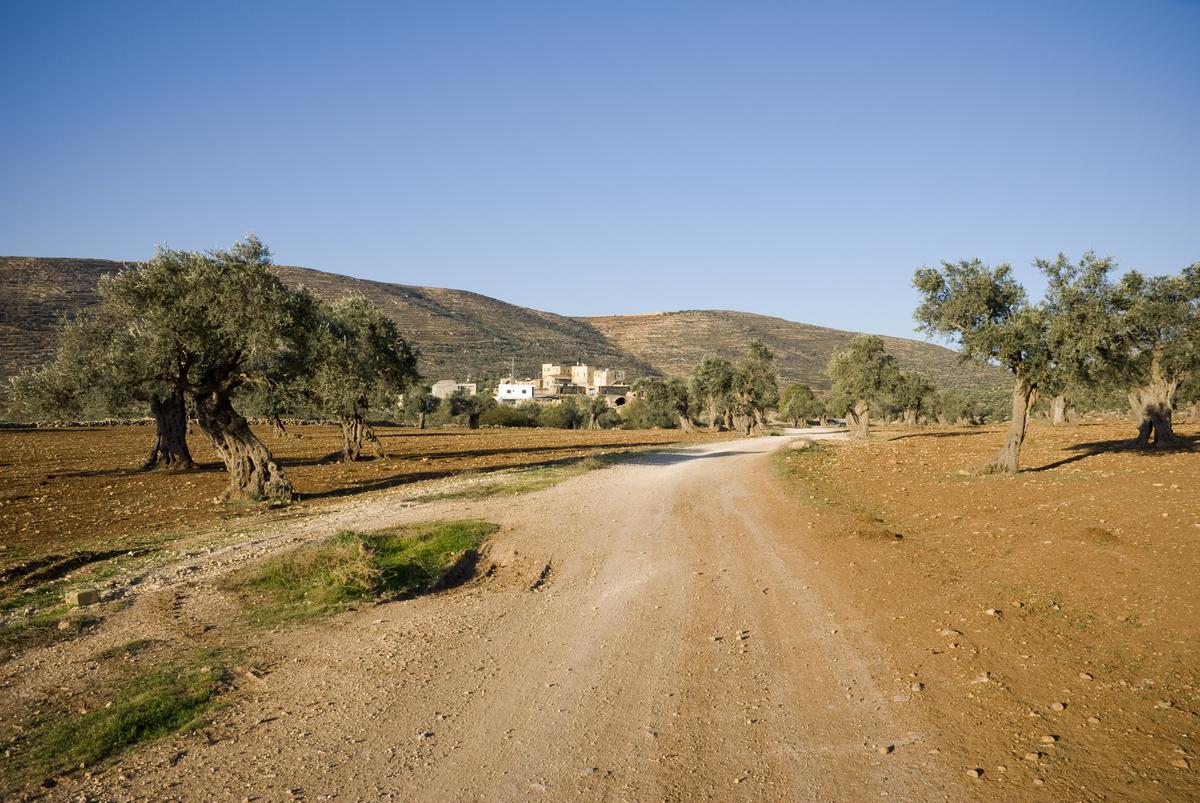 Near the Palestinian village of Yanoun in the West Bank.