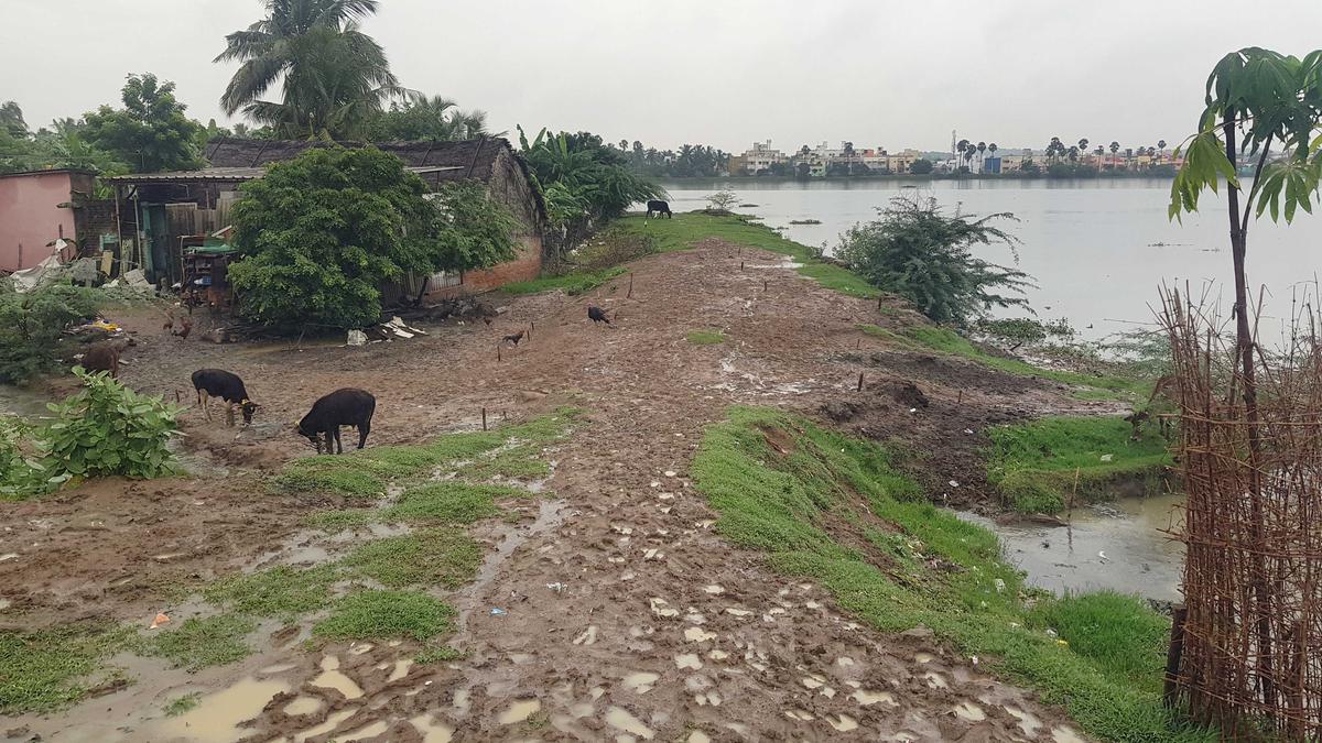 Residents want Sembakkam lake’s boundary to be demarcated to prevent encroachments