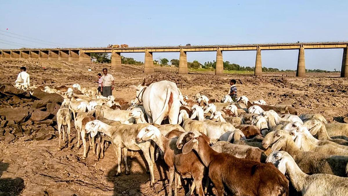 Karnataka seeks 4 tmcft drinking water from Maharashtra