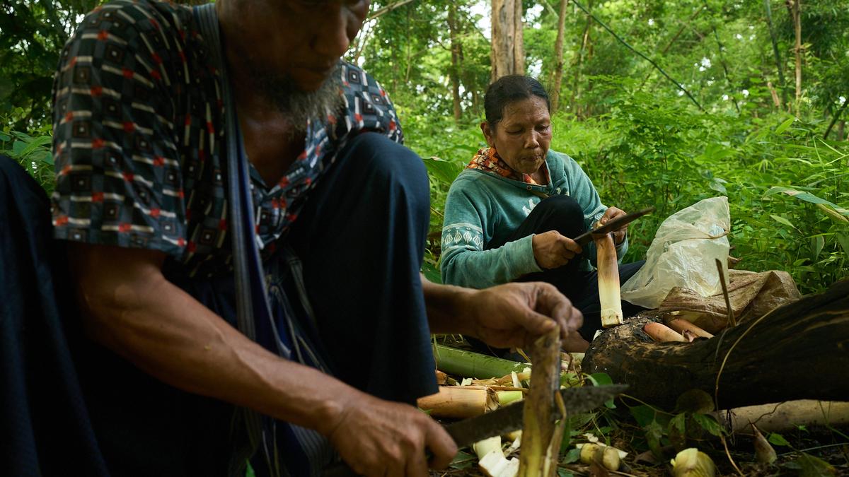 https://th-i.thgim.com/public/incoming/j45yw1/article70138253.ece/alternates/LANDSCAPE_1200/Foreign_Aid-Myanmars_Misery_89446.jpg