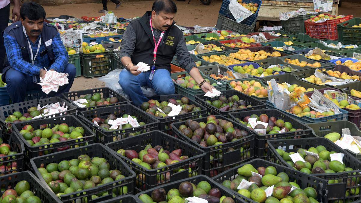 7.5 tonnes of mangoes, 800 kg of avocados seized