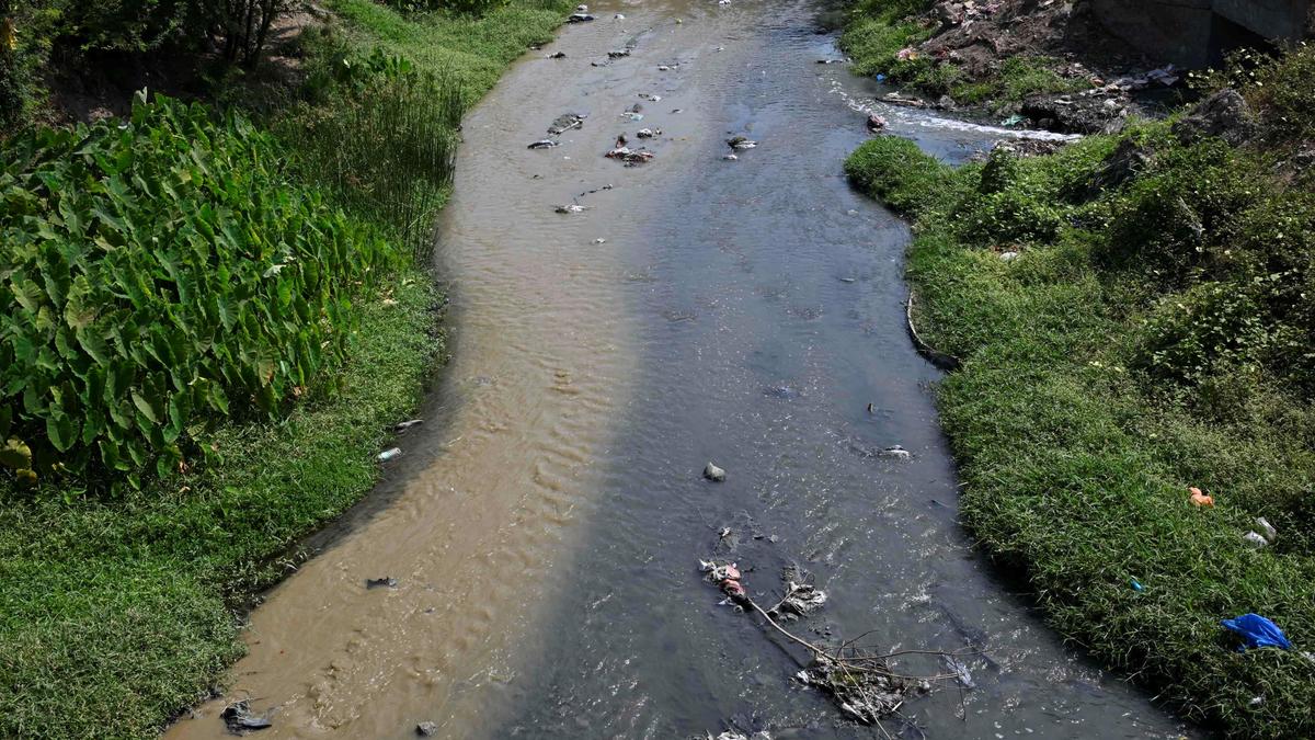 Untreated textile effluents allegedly discharged into Sunnambu Odai in Erode