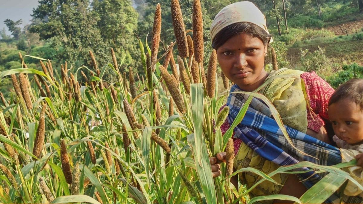 An offbeat way to popularise millets The Hindu